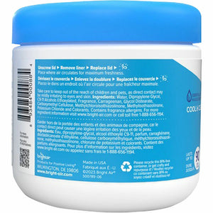 Bright Air Super Odor Eliminator Air Freshener