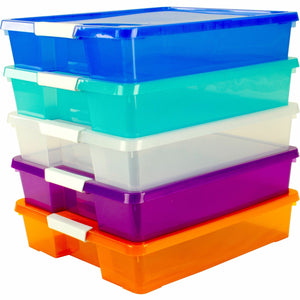 Storex Storage Case