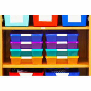 Storex Storage Case
