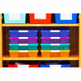 Storex Storage Case