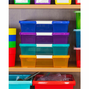 Storex Storage Case